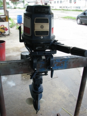 ยา 9.9 ทองขาว หางสั้น