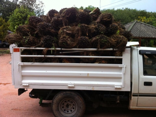 ขายรถกะบะดั้ม มิซูมิชิ  สตราด้า