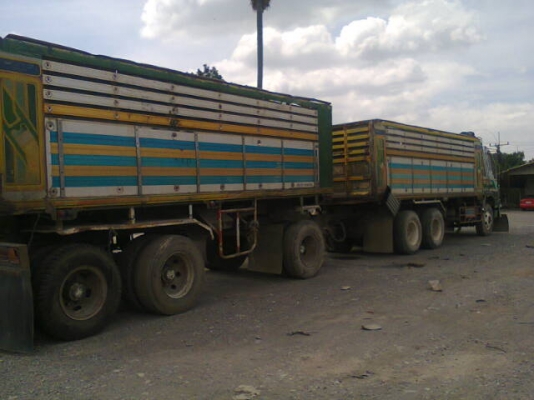 ขาย 2k เครื่อง P11 ยังไม่ลงเล่ม ดั้มมิเนียม