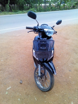 มีโอปี49