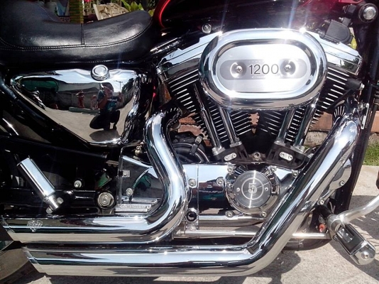 ปรับราคาตามคำขอ HARLEY DAVISSAN SPORTER xl1200 ปี2001สภาพสวย inv+สพม ปรับราคาตามคำขอ HARLEY DAVISSAN SPORTER xl1200 ปี2001สภาพสวย inv+สพม