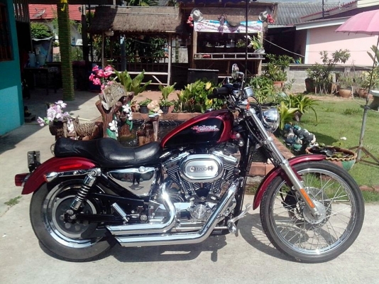 ปรับราคาตามคำขอ HARLEY DAVISSAN SPORTER xl1200 ปี2001สภาพสวย inv+สพม