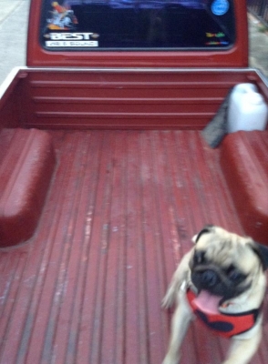 ขาย มาสด้า 1300 4 ขอ เครื่องแน่น ๆ