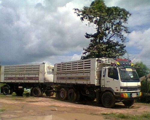 ขายฟูโซ่