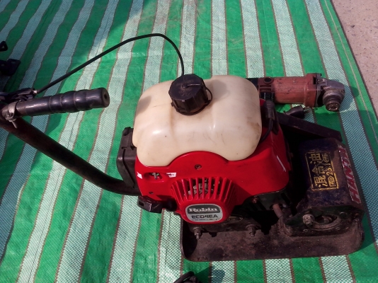 ขายตบดิน ตัวเล็ก น่ารักดีครับ เก่าญี่ปุ่น เอาไปเลี้ยงเอาครับเดี๋ยวก็โต