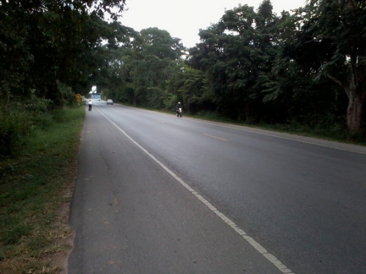 ขายที่ดิน 7ไร่ 2งาน 80 ตรว. ติดทางหลวง201 กม.17 อ.สีคิ้ว ขายที่ดิน 7ไร่ 2งาน 80 ตรว. ติดทางหลวง201 กม.17 อ.สีคิ้ว