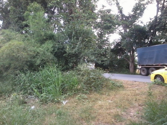 ขายที่ดิน 7ไร่ 2งาน 80 ตรว. ติดทางหลวง201 กม.17 อ.สีคิ้ว ขายที่ดิน 7ไร่ 2งาน 80 ตรว. ติดทางหลวง201 กม.17 อ.สีคิ้ว