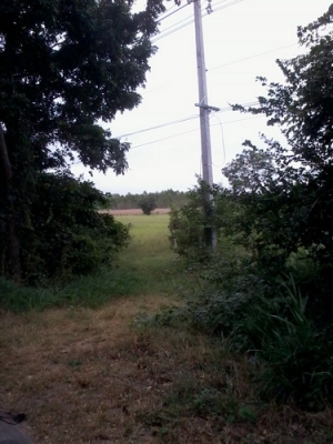 ขายที่ดิน 7ไร่ 2งาน 80 ตรว. ติดทางหลวง201 กม.17 อ.สีคิ้ว ขายที่ดิน 7ไร่ 2งาน 80 ตรว. ติดทางหลวง201 กม.17 อ.สีคิ้ว