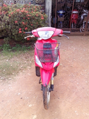 มีโอปี47 โอนไ้ด