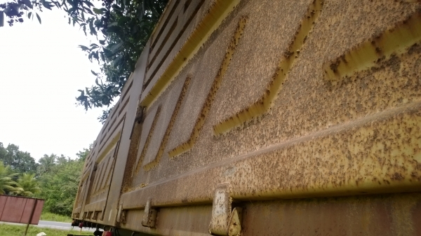 หางเทเลอร์ดั้มSMM ของสามมิตร 3 คานแท้ๆ หางปี*53(S/N 27-11-52)