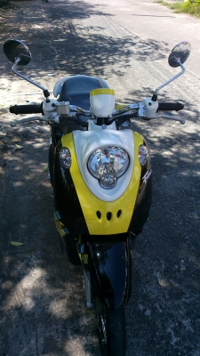 Fino ปี 56