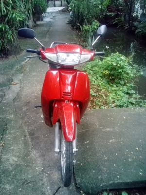 ขายดรีม100เดิมๆสวยๆๆ11900