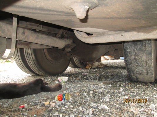 รถ12ล้อISUZU-GIGA-เครื่อง6WAI-360-เพลาเดียวตู้7เมตร- รถ12ล้อISUZU-GIGA-เครื่อง6WAI-360-เพลาเดียวตู้7เมตร-