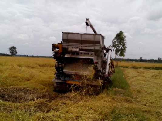 อำนวยการช่าง อุ้ม2.5ตัน แสตนเลสทั้งคันโซ่ใหม่พร้อมใช้