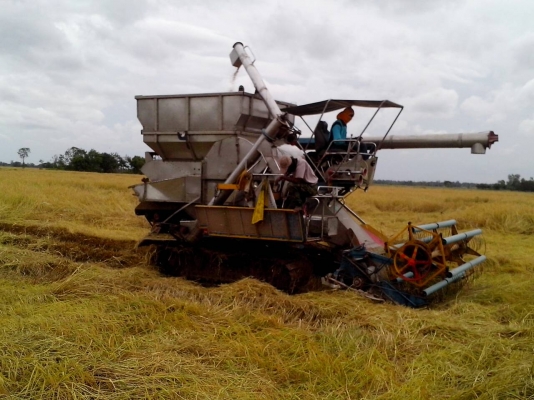 อำนวยการช่าง อุ้ม2.5ตัน แสตนเลสทั้งคันโซ่ใหม่พร้อมใช้