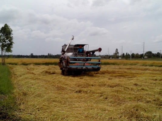 อำนวยการช่าง อุ้ม2.5ตัน แสตนเลสทั้งคันโซ่ใหม่พร้อมใช้