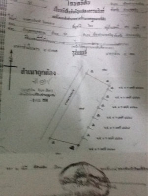 ต้องการขายที่มีโฉนด1ไร่2งาน14ตารางวาถูกๆ จ อำนาจเจริญ