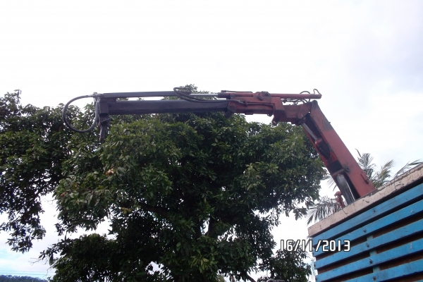 ขายเฮี๊ยบ3ตัน 1ปลอก จำนวน 2ตัว ราคา175000