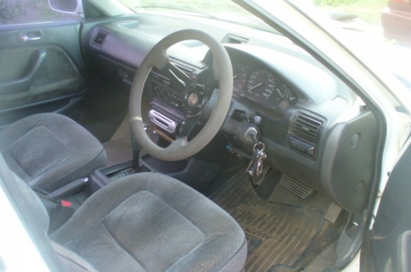 ขายตาเพชร สกคัน ขายตาเพชร สกคัน