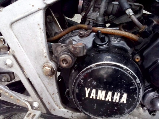 TZR ตามสภาพ