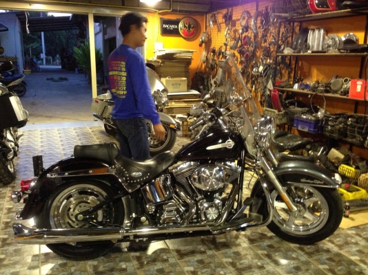Harley davidson