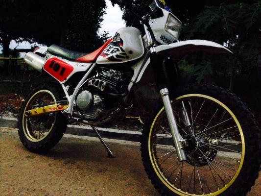 ขาย xlr250 เครื่องแรงแบบอึดๆ พร้อมลุย ขาย xlr250 เครื่องแรงแบบอึดๆ พร้อมลุย