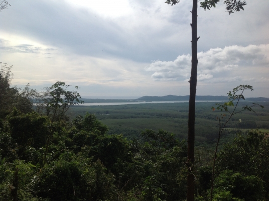 ขายชีวิวเขาไข่นุ้ยพร้อมสวนปาร์มขายถูกมาก