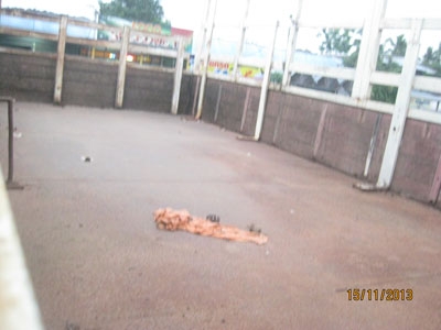 ขายหกล้อ Hino FF3H 195 แรง กระบะคอกยาว 5.5 m พร้อมใช้ โทร 088-4501277 ขายหกล้อ Hino FF3H 195 แรง กระบะคอกยาว 5.5 m พร้อมใช้ โทร 088-4501277