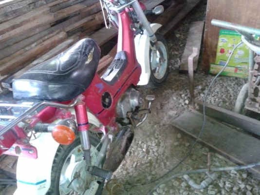 ชาลี  ขับได้