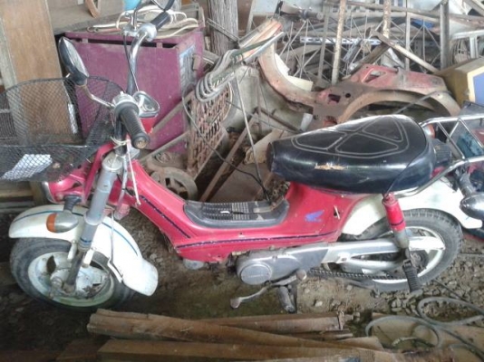 ชาลี  ขับได้