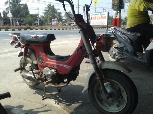 ชาลี  ขับได้