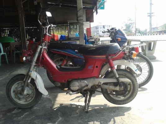 ชาลี  ขับได้