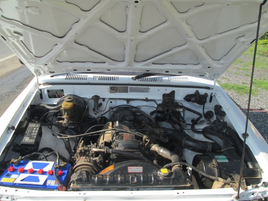 ไมตี้เดิมๆๆ โดนๆๆ สวยๆๆๆ ไมตี้เดิมๆๆ โดนๆๆ สวยๆๆๆ