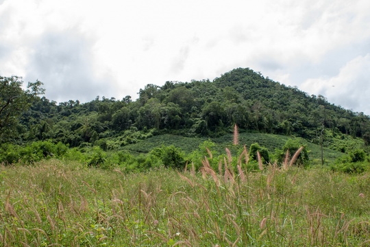 ขายที่ดิน ราคาไร่ละ 25,000  บาท อยู่ อ.บ่อพลอย จ กาญจนบุรี