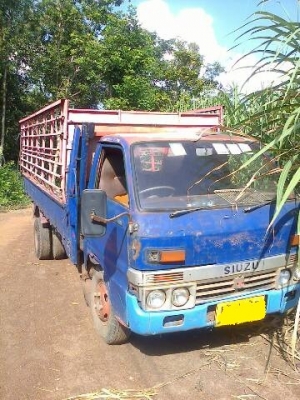 ขาย6ล้อISUZU TL85กระบะคาโก้ยาว4.30 สภาพสวยพร้อมใช้ ราคาต่อรองได้ ติดต่อได้ที่คุณอ๊อฟ พิจิตร 086-737-9991