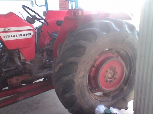 ขายแมสสี้ย185ด่วน