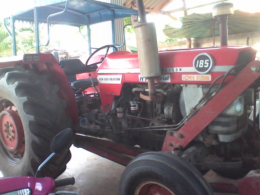 ขายแมสสี้ย185ด่วน