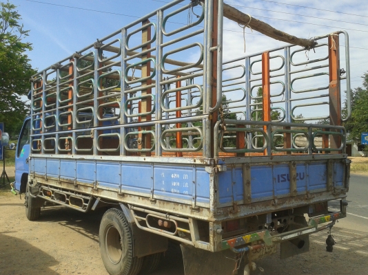 ขายNPR 135แรง ยาว5เมตร ขายNPR 135แรง ยาว5เมตร