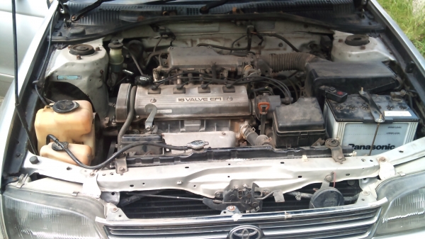 ขายโตต้าท้ายโด่ง 70000