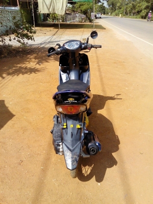 นูโวปี49ลูกโซ ราคานี้รวมส่ง