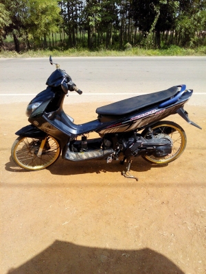 นูโวปี49ลูกโซ ราคานี้รวมส่ง