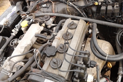 ขายคาริเบียน ขายคาริเบียน