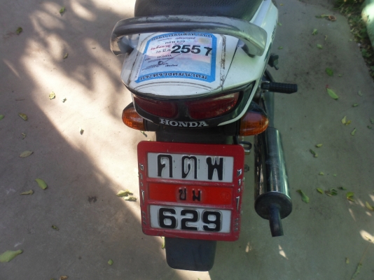 ขาย honda dash