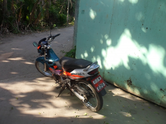 ขาย honda dash