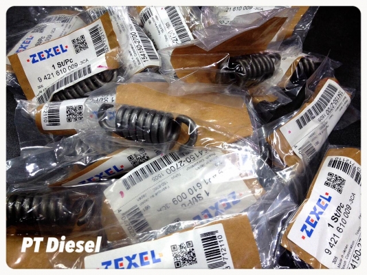 สปริงกวนา RSV