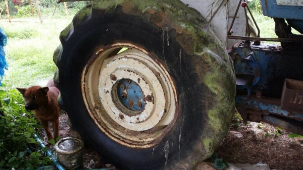 รถไถ FORD 6610 ( ตัวแท้. ) ( ตามสภาพ. ) สนใจติดต่อ 081 - 6079515 รถไถ FORD 6610 ( ตัวแท้. ) ( ตามสภาพ. ) สนใจติดต่อ 081 - 6079515