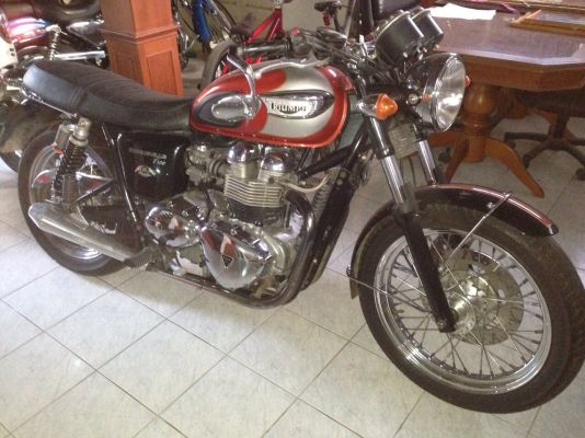 ขายtriumph