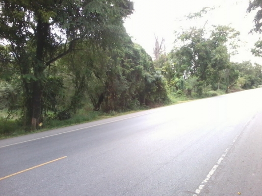 ขายที่ดินทำเลค้าขายติดทางหลวง201 อ.สีคิ้ว เนื้อที่ 7ไร่ 2งาน 80 ตรว.