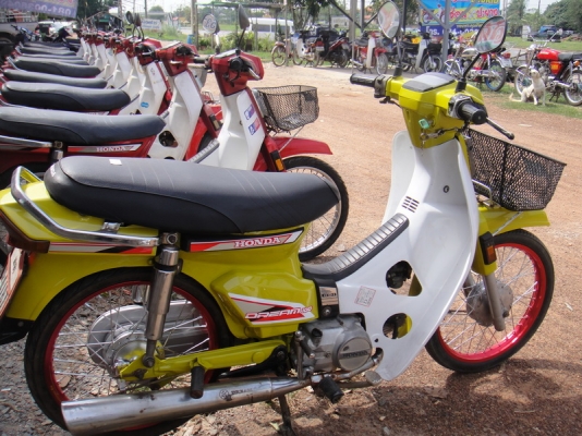 ขายฮอนด้าดรีม คุรุสภาทำสีใหม่ ลงล้อสีเรียบร้อย ( ทะเบียนพร้อมชุดโอน ) ขายฮอนด้าดรีม คุรุสภาทำสีใหม่ ลงล้อสีเรียบร้อย ( ทะเบียนพร้อมชุดโอน )