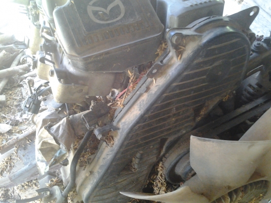 ขายเครื่อง มาสดาราคาถูกเครื่องติดได้ ขายเครื่อง มาสดาราคาถูกเครื่องติดได้